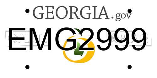 EMG2999 Georgia License Plate