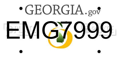 EMG7999 Georgia License Plate