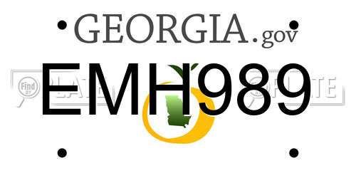 EMH989 Georgia License Plate