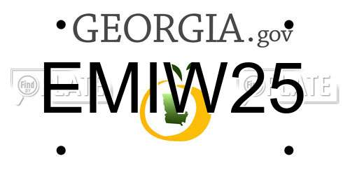 EMIW25 Georgia License Plate
