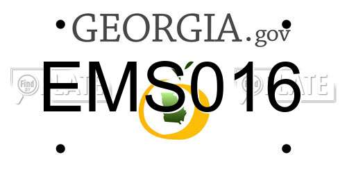 EMS016 Georgia License Plate