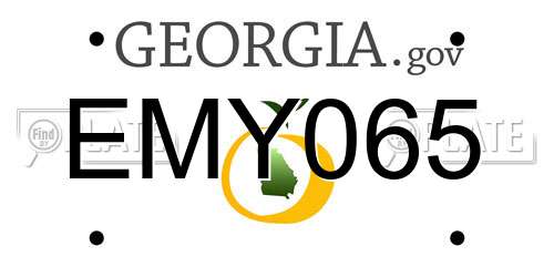 EMY065 Georgia License Plate