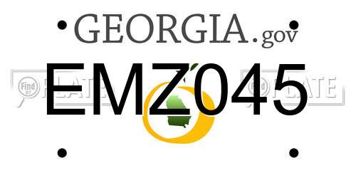 EMZ045 Georgia License Plate