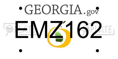 EMZ162 Georgia License Plate