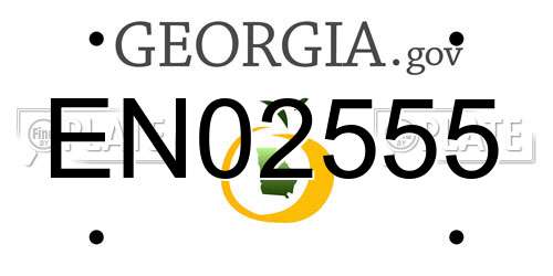 EN02555 Georgia License Plate