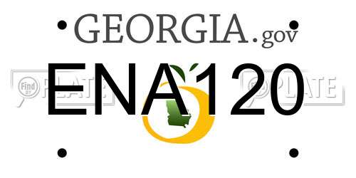 ENA120 Georgia License Plate