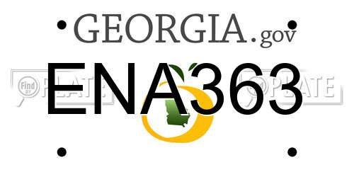 ENA363 Georgia License Plate