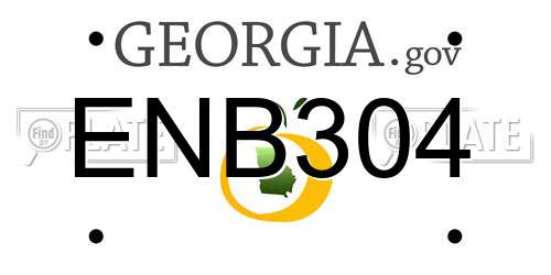 ENB304 Georgia License Plate