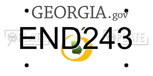 END243 Georgia License Plate