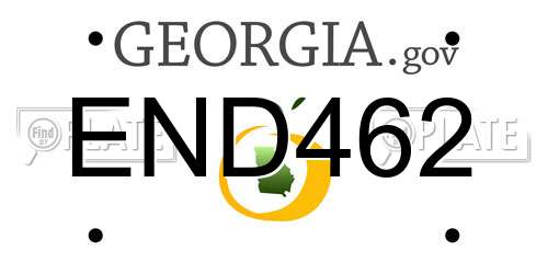 END462 Georgia License Plate