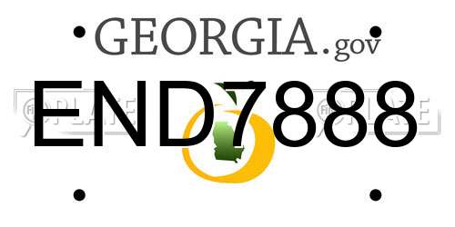 END7888 Georgia License Plate