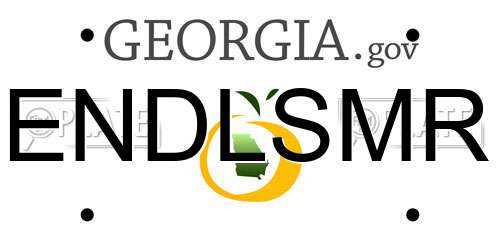 ENDLSMR Georgia License Plate