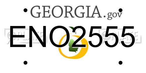 ENO2555 Georgia License Plate
