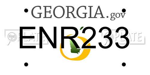 ENR233 Georgia License Plate