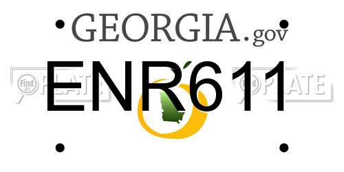 ENR611 Georgia License Plate