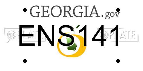 ENS141 Georgia License Plate