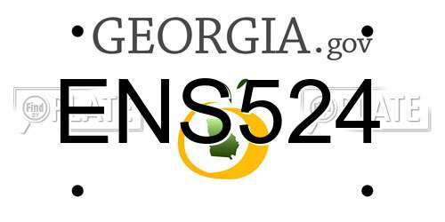 ENS524 Georgia License Plate