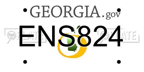 ENS824 Georgia License Plate