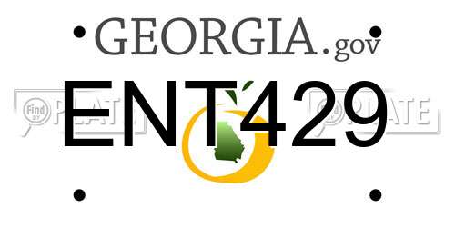 ENT429 Georgia License Plate