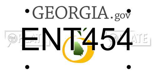 ENT454 Georgia License Plate