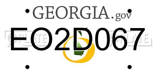 EO2D067 Georgia License Plate
