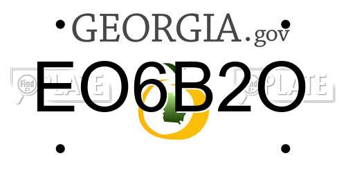 EO6B2O Georgia License Plate