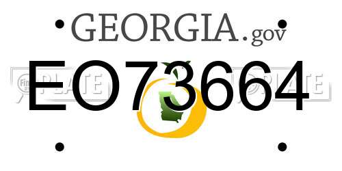 EO73664 Georgia License Plate