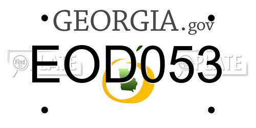 EOD053 Georgia License Plate