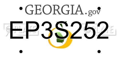 EP3S252 Georgia License Plate