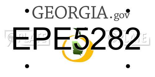 EPE5282 Georgia License Plate