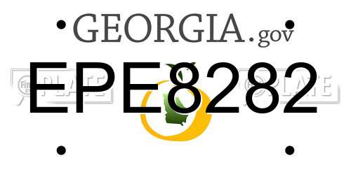 EPE8282 Georgia License Plate