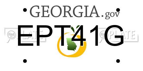 EPT41G Georgia License Plate