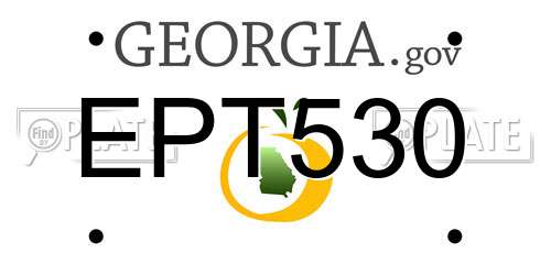 EPT530 Georgia License Plate