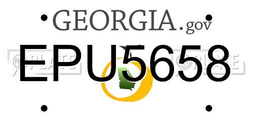 EPU5658 Georgia License Plate