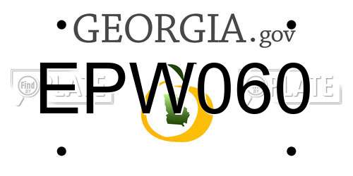 EPW060 Georgia License Plate