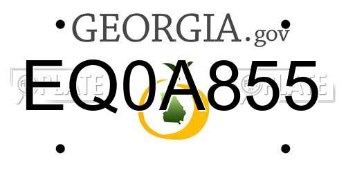EQ0A855 Georgia License Plate