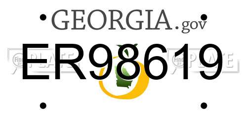 ER98619 Georgia License Plate
