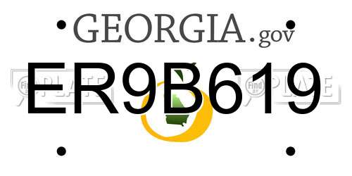 ER9B619 Georgia License Plate