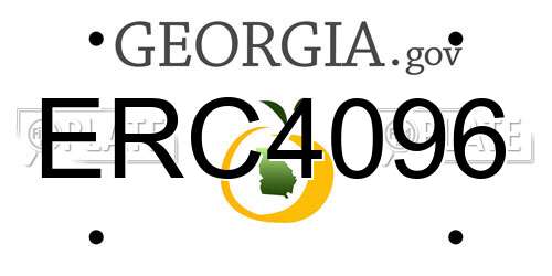 ERC4096 Georgia License Plate