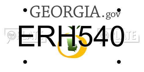 ERH540 Georgia License Plate