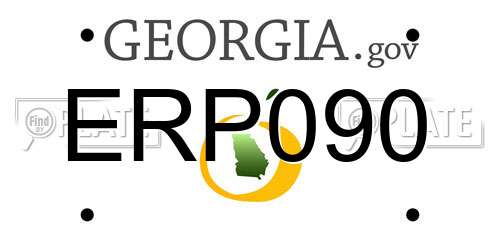 ERP090 Georgia License Plate