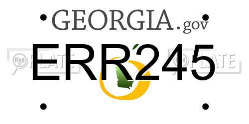 ERR245 Georgia License Plate