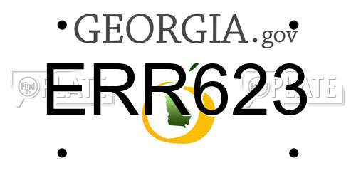 ERR623 Georgia License Plate