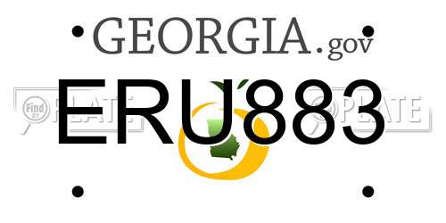 ERU883 Georgia License Plate