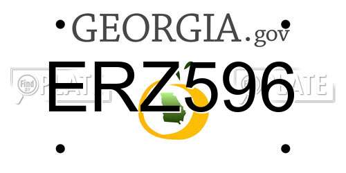 ERZ596 Georgia License Plate
