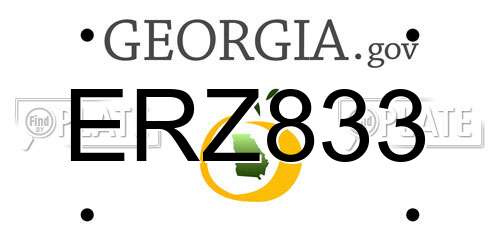 ERZ833 Georgia License Plate