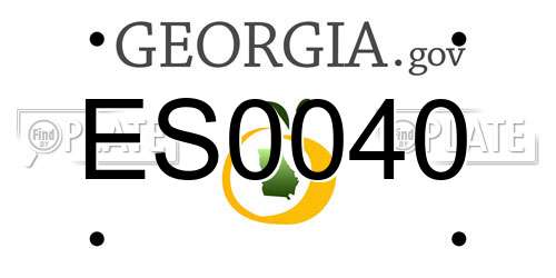 ES0040 Georgia License Plate