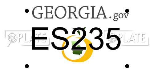 ES235 Georgia License Plate