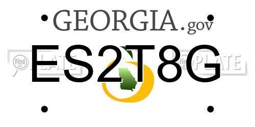 ES2T8G Georgia License Plate