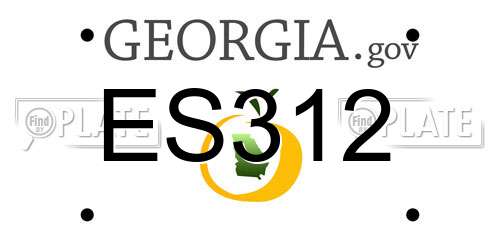 ES312 Georgia License Plate